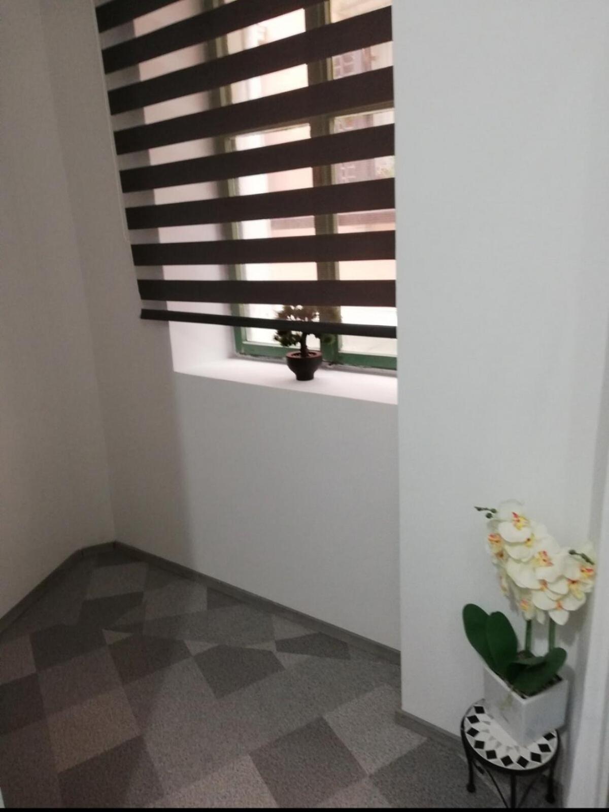 Studio Ana روفينج المظهر الخارجي الصورة